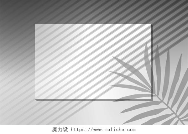 灰色简洁光影墙面影子植物叶子展板背景自然光影背景  